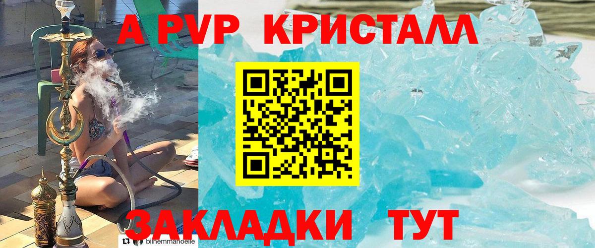 APVP крисы CK Магадан